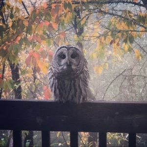 Meet your Posher, Brad